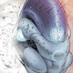 Illustration for article titled Writing 'The Authority,' or Getting the Comic-Book $#!t$